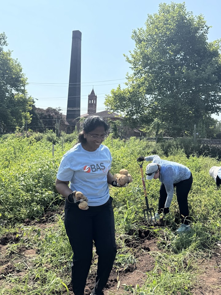 BAS Cares volunteers planting greenery together outdoors during a community service day